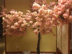 -汤泉良子(金源店)