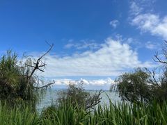 -捞渔河湿地公园