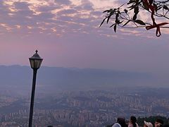 -缙云山景区