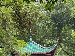 -岳麓山风景名胜区