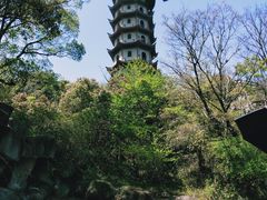 -桃花岛风景旅游区