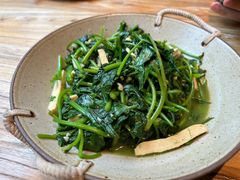 时令野菜-金鱼妈妈 山野·食趣(荫山街店)