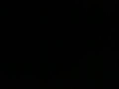 -泮溪酒家(荔枝湾店)