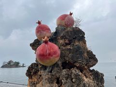 -小普陀