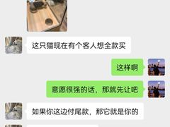 -袖虎·猫馆(体育西路店)