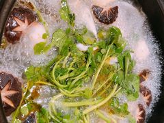 -烹然四季椰子鸡火锅(团结湖总店)