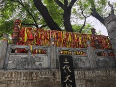 -大槐树寻根祭祖园