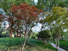 -徐家汇源景区-衡山公园