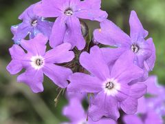 -江苏三台山国家森林公园