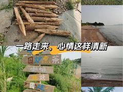 -巢湖姥山岛