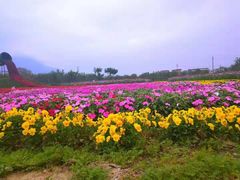 -牛鱼嘴原始生态风景区