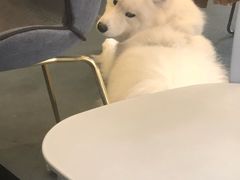 -KYO COFFEE(胶州路店)
