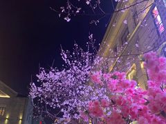 -万达瑞华酒店美食汇自助餐厅(楚河汉街店)