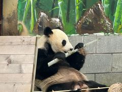 -南昌动物园