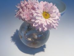 -月芽· 璞上餐厅·上天竺店
