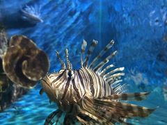 -多彩贵州城极地海洋世界