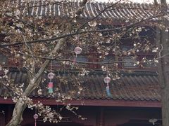 -堤角公园