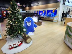 -Sony Store 索尼(来福士店)