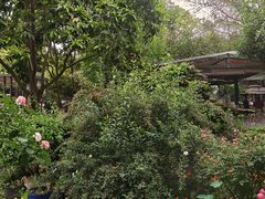 -凤来栖·净庭院·火锅(欧尚店)