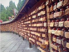 -龙口南山旅游景区