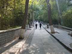 -五泉山公园