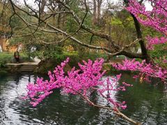 -花溪公园