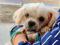 -康乐宝动物医院