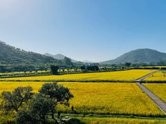 -风云岭森林公园