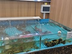 -渡海小渔村.老辈日照菜