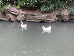 -兰亭风景区