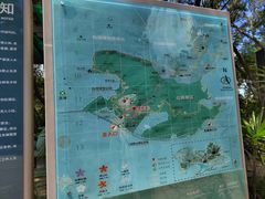 -梧桐山风景名胜区