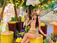 -友谊阳光城