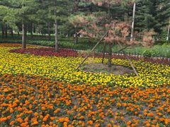-黑龙江省森林植物园