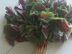 android_upload_pic-龚师傅土菜馆.地道农家菜(魅力湘西店)