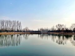 -东郊湿地公园