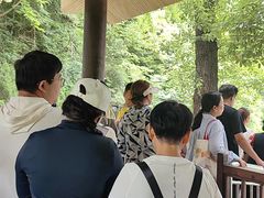 -牛背梁国家森林公园
