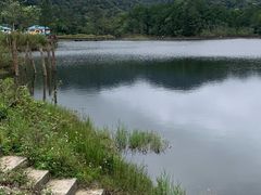 -海南热带雨林国家公园吊罗山景区