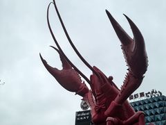 -虾皇(龙虾城旗舰店)