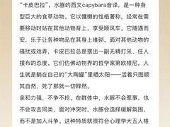 -安肯心理咨询(长宁旗舰店)