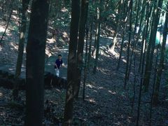 -凤栖山