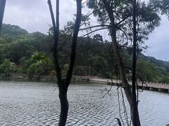 -黔灵山公园