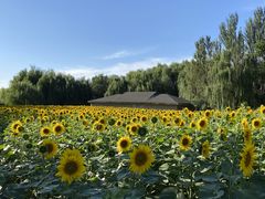 -长白岛森林公园