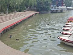 -天津水上公园