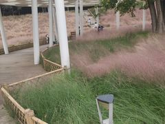 -牛岗山公园