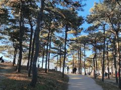 -北京西山国家森林公园