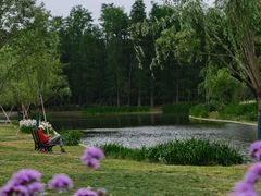 -共青国家森林公园-售票处