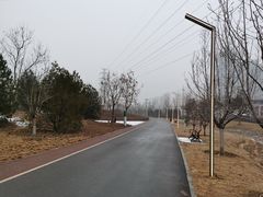 -坝河休闲公园