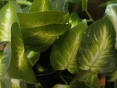 -湘当爱·鲜煮现炒(松岗立业路店)