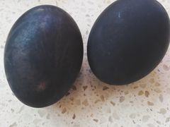 -贾家饦饦馍(回民街店)