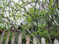 景点-武当山风景区